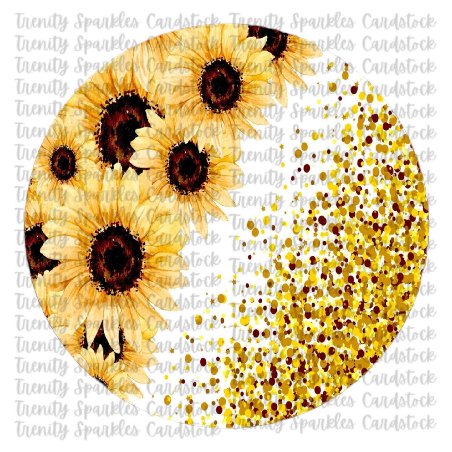 Circle Cardstock 3
