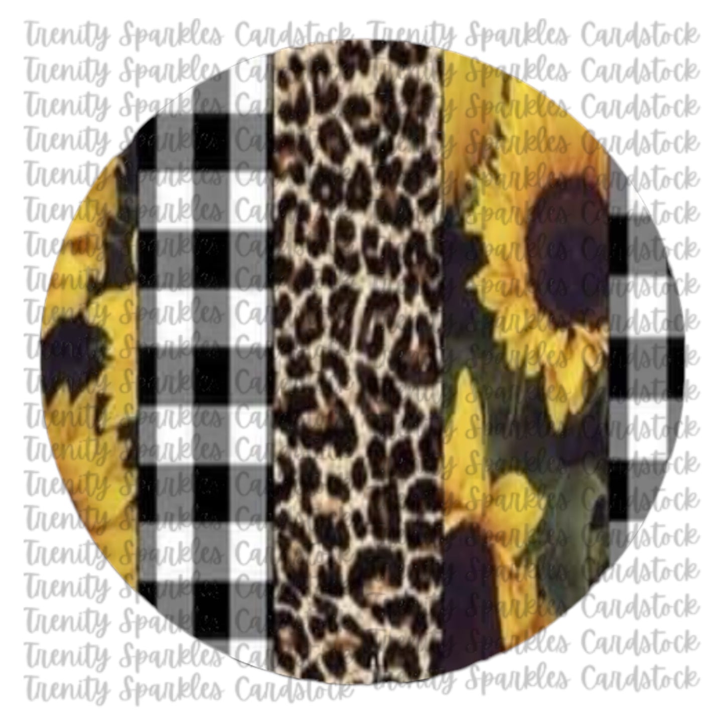 Circle Cardstock 3