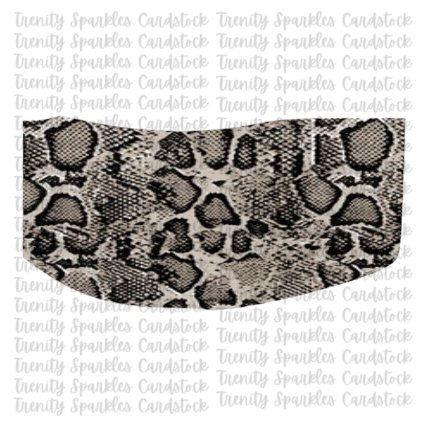 Bossy Boots Snake Bottle Cardstock