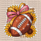 TRC Sunflower Football
